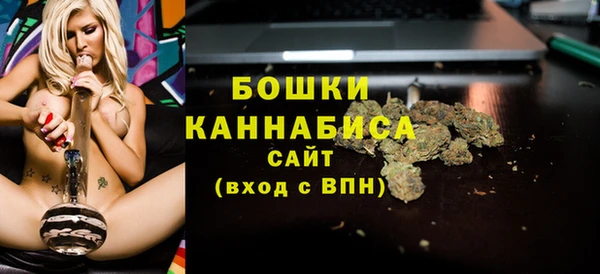 дмт Белокуриха