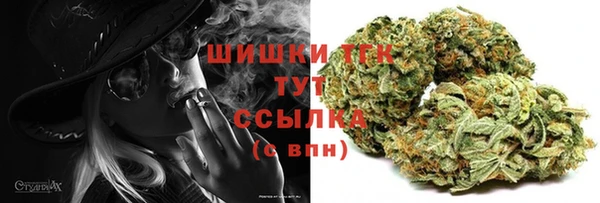 дмт Белокуриха