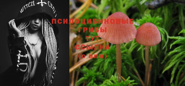 дмт Белокуриха